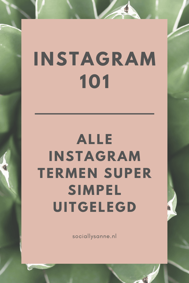 vraag het gratis Instagram E-book aan - skyscraper breed